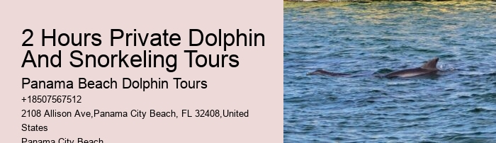 Secluded Dolphin Encounter with Snorkeling