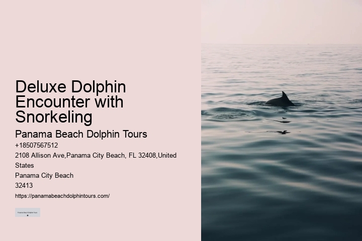 What is the cancellation policy for dolphin tours in Panama City Beach