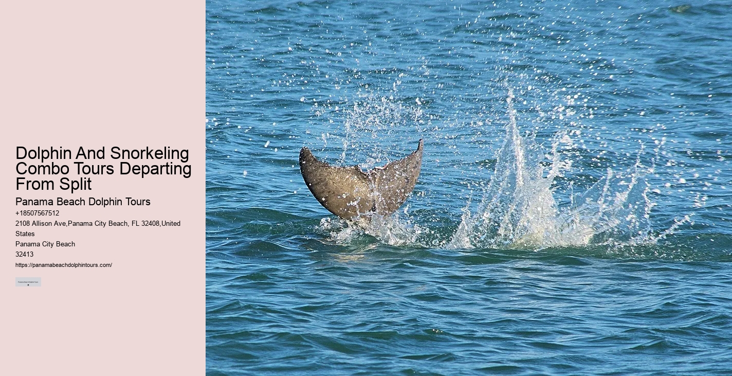Why Is It Good To Swim With Dolphins When Pregnant