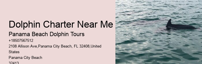 Individual Dolphin Watching and Snorkeling Trips