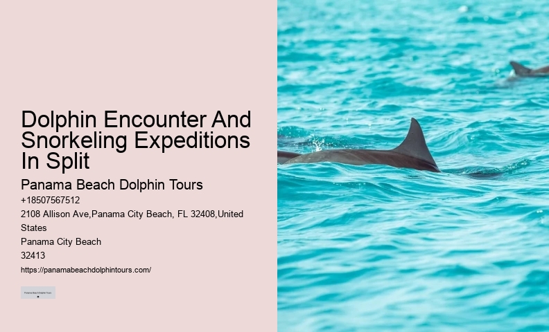 What Is A Dolphins Biggest Enemy