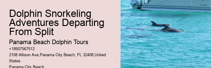 Dolphin Tours Near Me