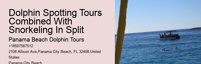 What happens if the weather is bad during my scheduled dolphin tour