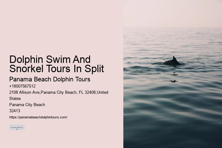 Panama City Beach Dolphin Sightseeing Trips