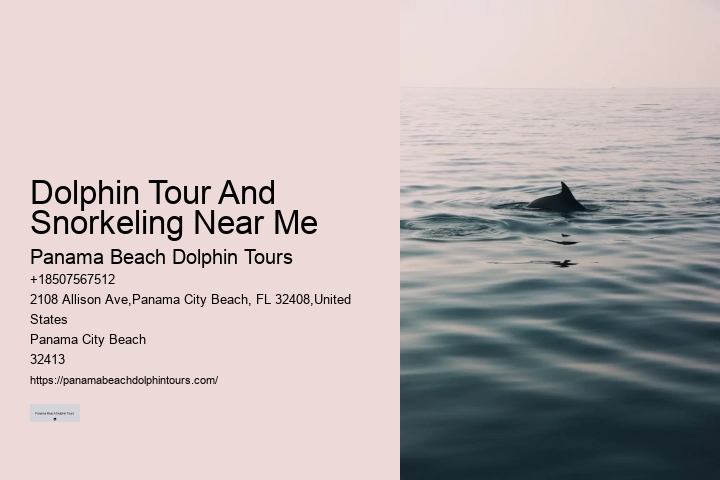 Luxury Dolphin Encounter with Snorkeling