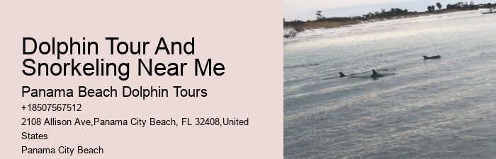 PCB Dolphin Exploration Experiences