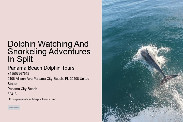 Split Island-hopping Tours With Dolphin Spotting And Snorkeling
