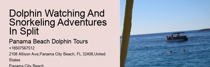 Adventures
