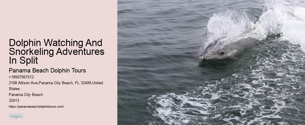 Are there any discounts available for group bookings on dolphin tours in Panama City Beach