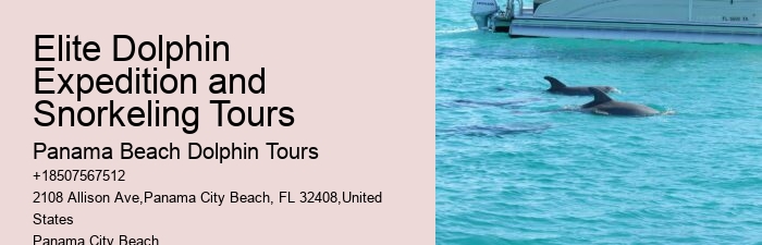 What Should I Bring To Dolphin Cove