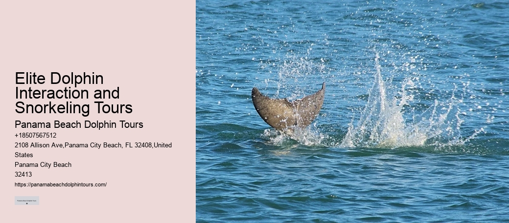 Is It True That Dolphins Use 20% Of Their Brain.