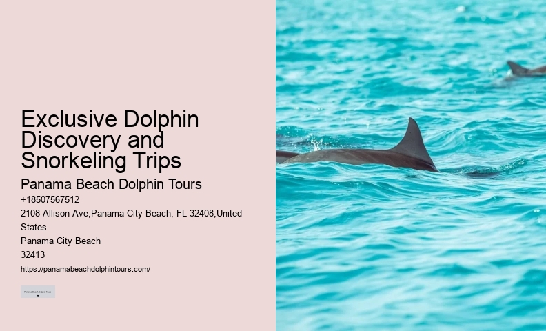 What Do You Wear On A Dolphin Boat Trip