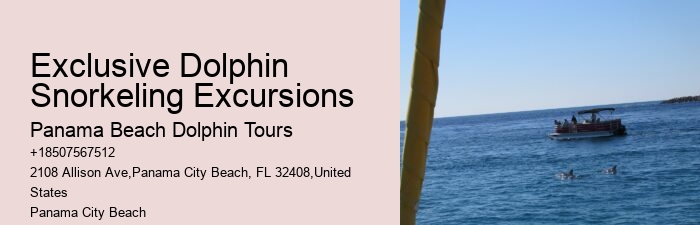 Jet Ski Dolphin Tours Near Me