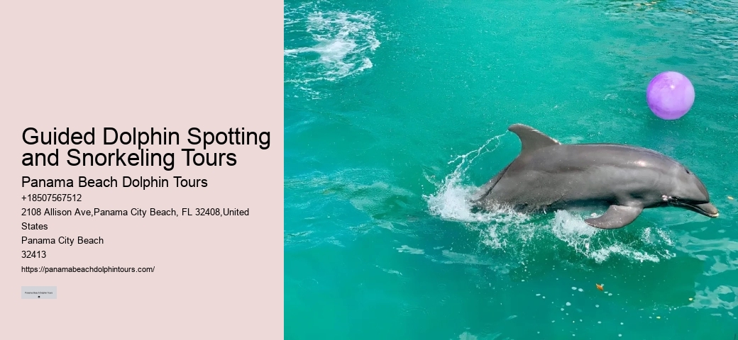 Dolphin Tours Queenstown
