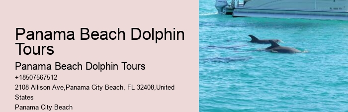 Split Luxury Snorkeling And Dolphin Charters