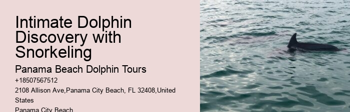 Are there any restrictions on interactions with dolphins during the tours in Panama City Beach
