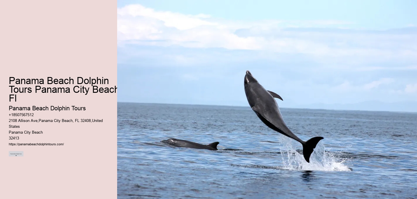 Eco-friendly tourism