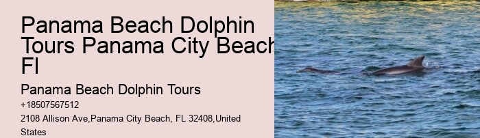Can I feed the dolphins during the tour