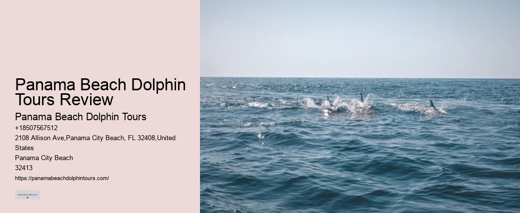 Secluded Dolphin Encounter and Snorkeling Experience