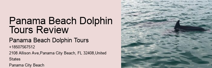 How close do the dolphin boats get to the dolphins in Panama City Beach