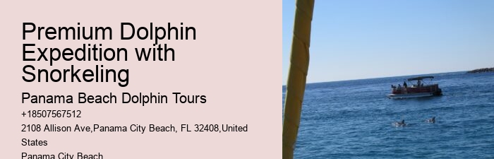 Split Private Luxury Dolphin And Snorkeling Tours