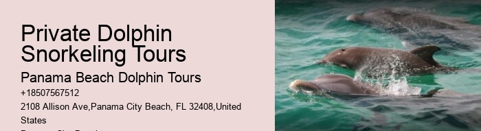 Split Budget-friendly Dolphin Snorkeling Excursions