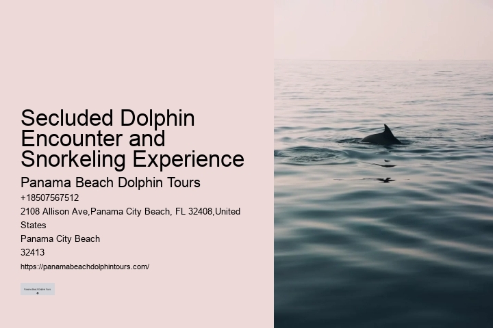 PCB Dolphin Exploration Trips
