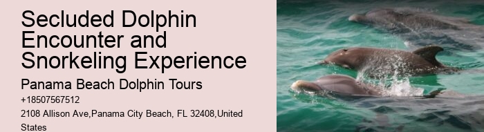 Personal Dolphin Encounter with Snorkeling