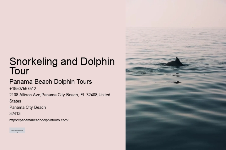 Split Immersive Snorkeling And Dolphin Experiences