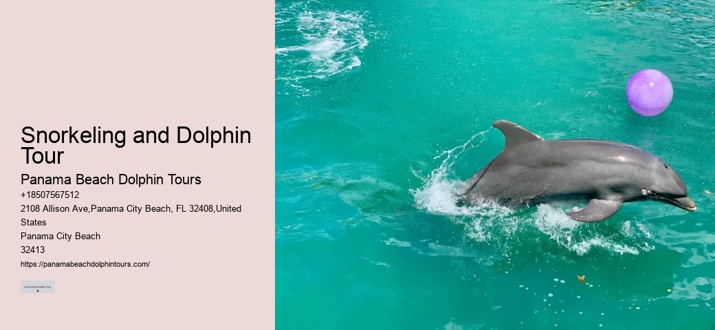 All About Bottlenose Dolphins - Birth & Care Of Young