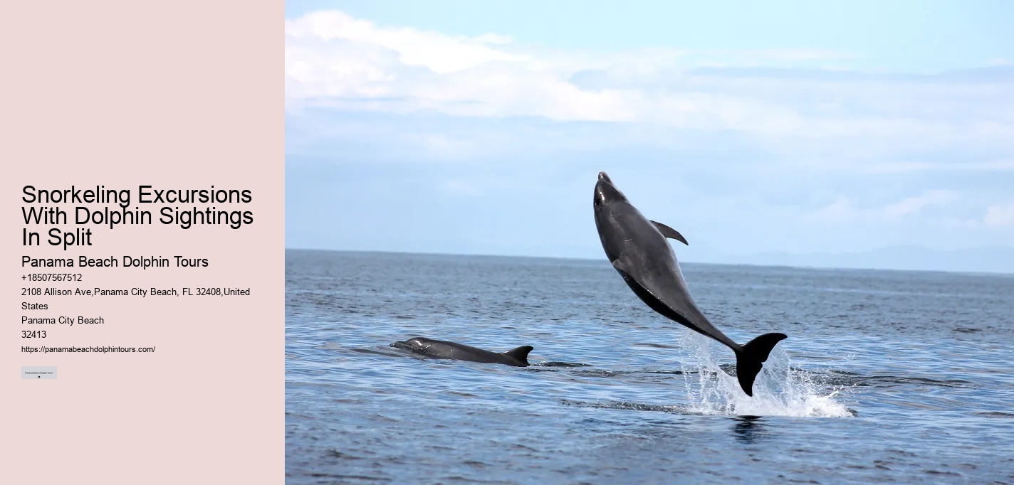 Dolphin Tours Tybee Island