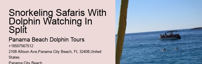 How Much Does It Cost To Swim With The Dolphins At Dolphin Cove