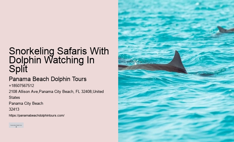 Private Dolphin Tours Gulf Shores