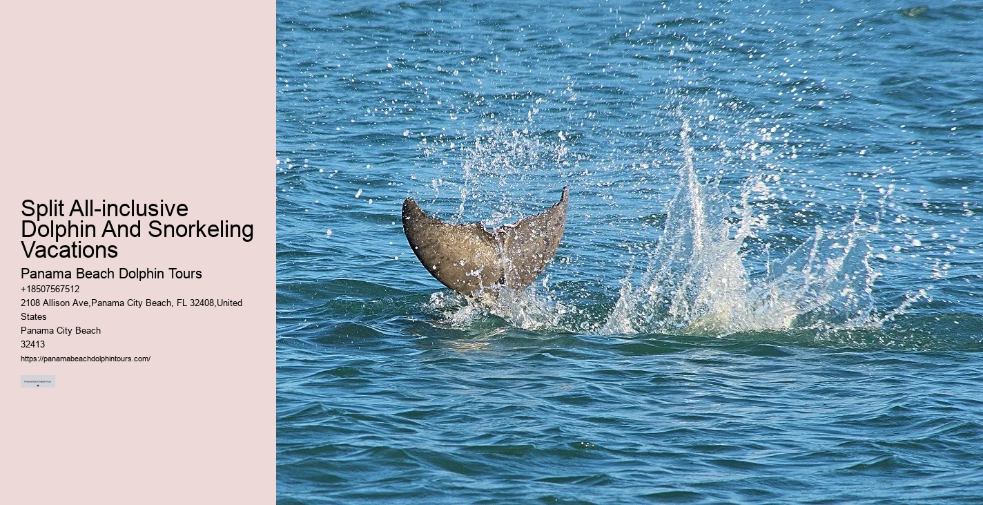 Dolphin Watching Split