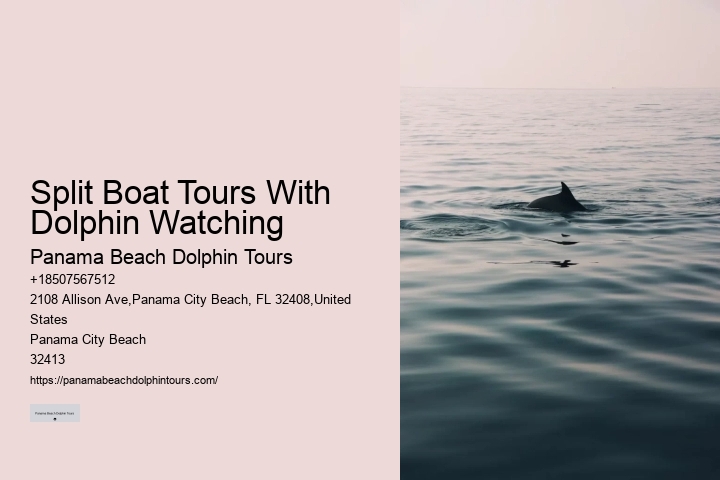 Private 2 Hour Dolphin Cruise