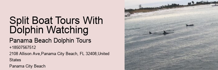 Panama City Beach Private Dolphin Tours