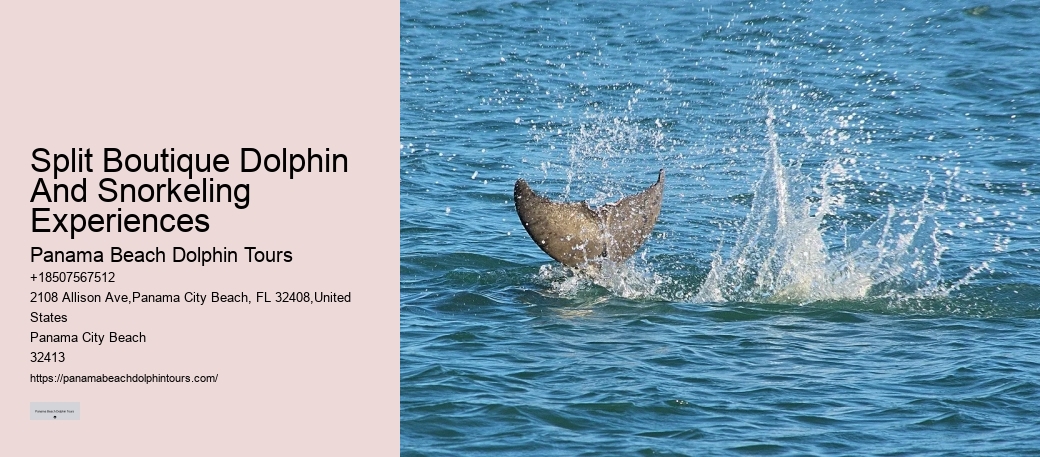 Are Dolphins Actually Happy In Captivity