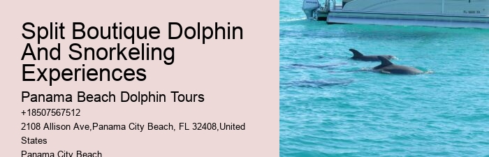 Snorkeling Tour