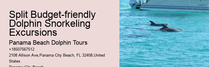 Dolphin Tours Panama City Beach Jet Ski