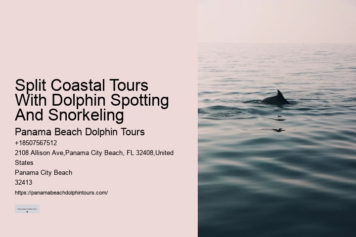 Panama City Beach Dolphin Tours