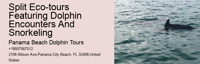 PCB Dolphin Discovery Cruises