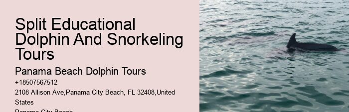 Private Tours Rosemary Beach