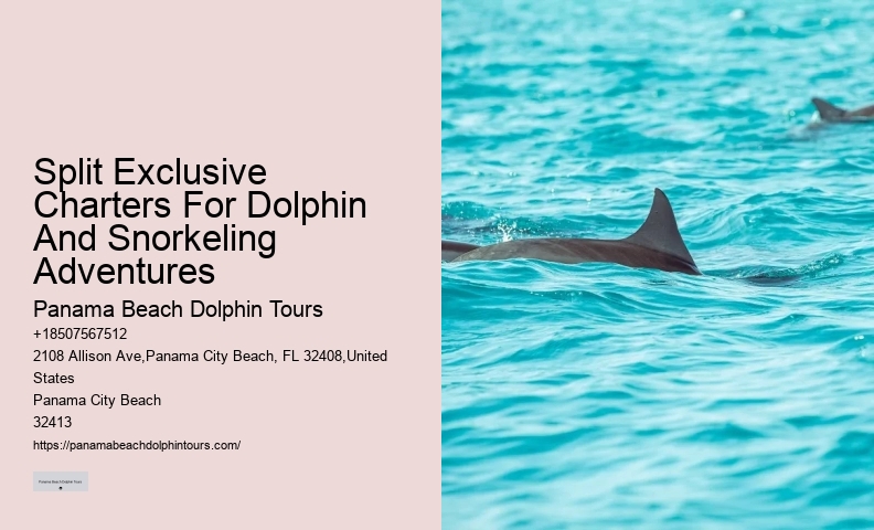 Sweet Sunsets And Dolphin Tours