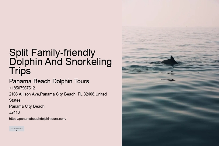 PCB Dolphin Spotting Cruises