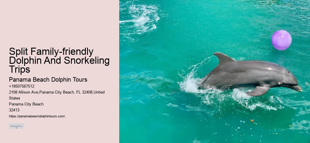 Split Unforgettable Dolphin And Snorkeling Adventures