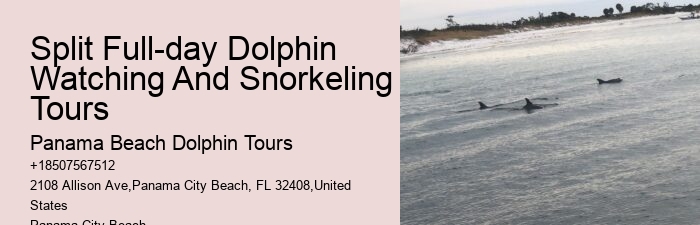 Split Exclusive Charters For Dolphin And Snorkeling Adventures