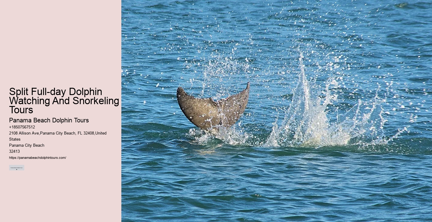 Can Dolphins Smell Fear