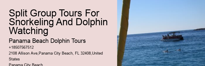 Panama City Beach dolphin sightseeing tours