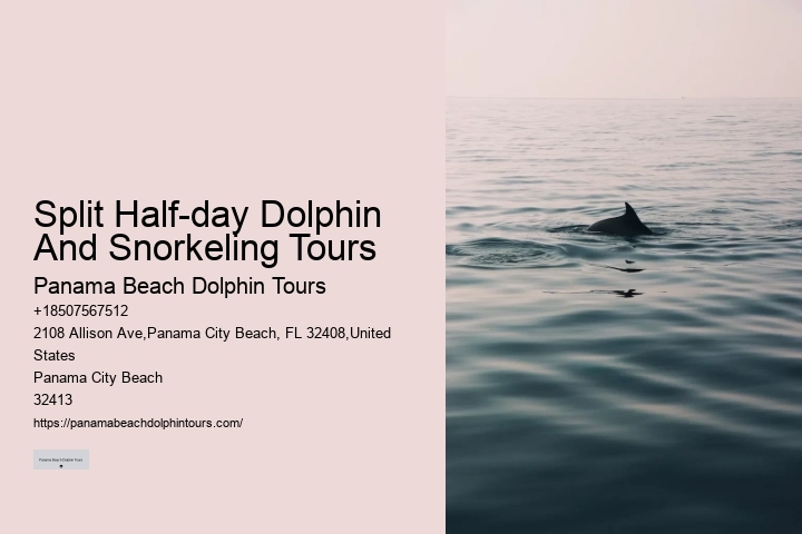 Why Do Dolphins Swim Close To Shore