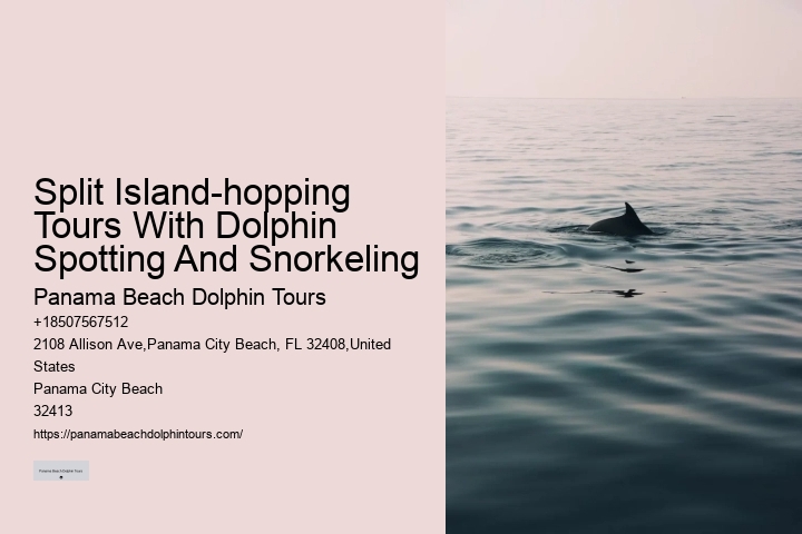 Split Private Yacht Rentals For Dolphin And Snorkeling Excursions